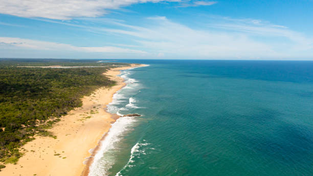 istock Wide sandy beach with ocean surf and waves. Sri Lanka. 1405835000