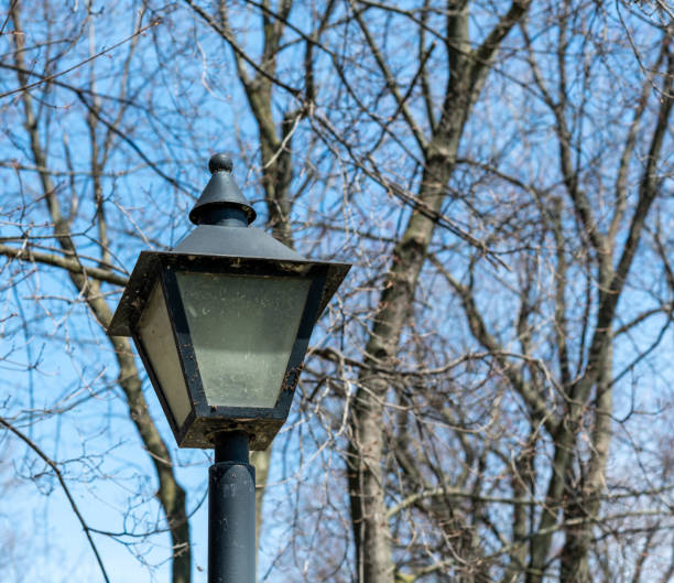 istock Black iron lamp in the park 1405836871