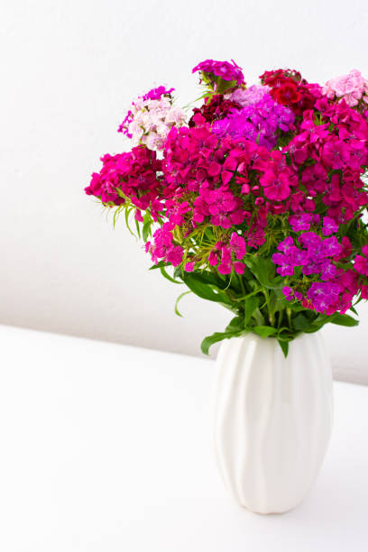 istock Carnation flowers in a white vase 1405837094