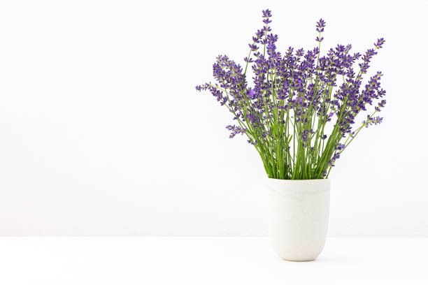 istock Lavender flowers in a vase 1405837200