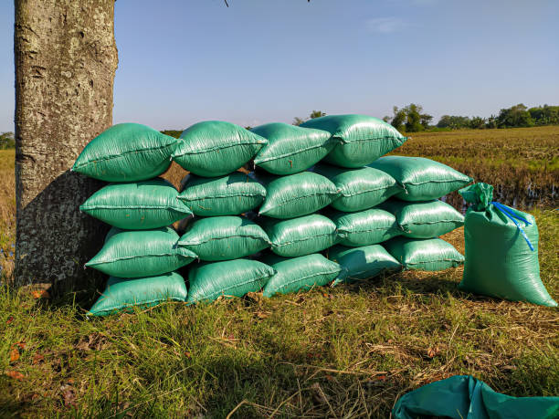 istock pile of rice sacks 1405837994