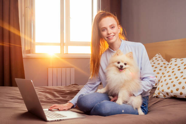 istock redhaired ginger woman useing laptop , fluffy spitz sitting on her knees sunset light from window background 1405841534