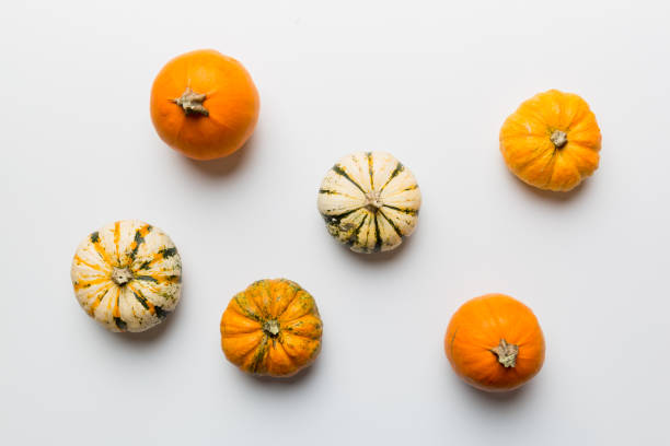 jesienna kompozycja małych pomarańczowych dyń na kolorowym tle stołu. koncepcja jesieni, halloween i święta dziękczynienia. jesienna płaska fotografia. widok z góry vith miejsce kopiowania - autumn clothing corn crop fashion zdjęcia i obrazy z banku zdjęć