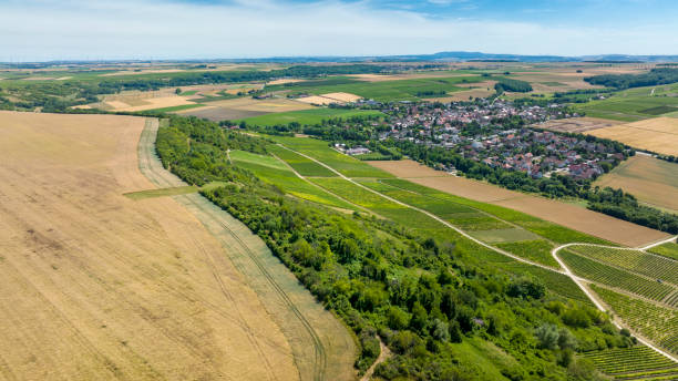 istock Aerial view over Rheinhessen. Appenheim 1405843205