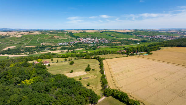 istock Aerial view over Rheinhessen. Westerberg 1405843236