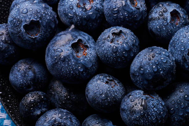 blueberries in black background stock photo