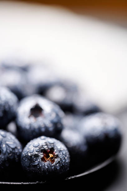 blueberries in black background stock photo