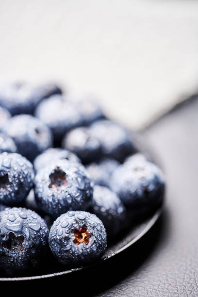 blueberries in black background stock photo