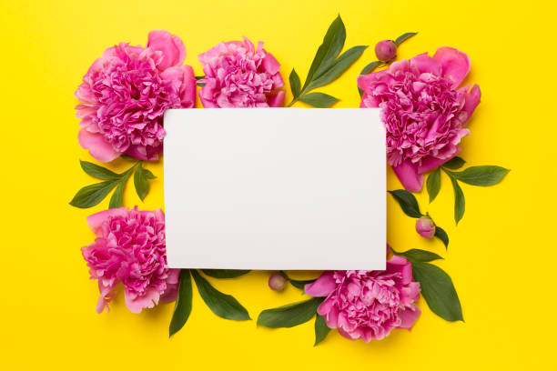 istock Greeting card mockup with peony flowers on color background, top view 1405847151