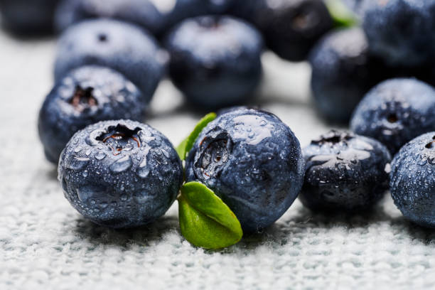 blueberries in black background stock photo