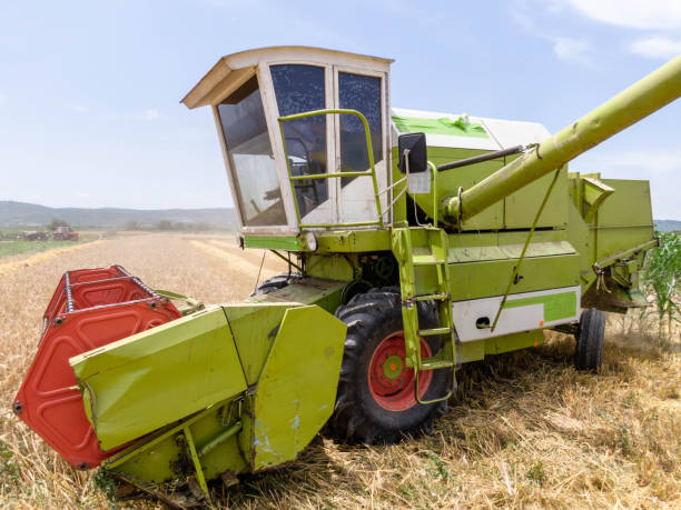 istock Working in the field stock photo 1405849989