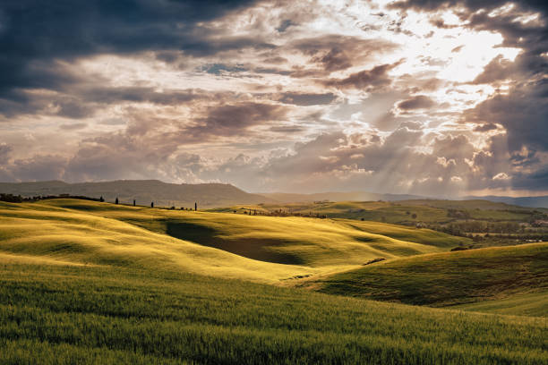 Sunny landscape from Val d'Orcia