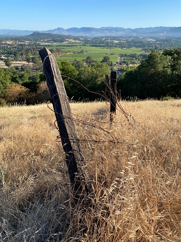 Old fence with barb wire in Napa Valley California