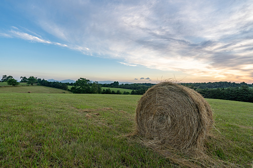Vibrant sunrise over a field of hay bales with the Blue Ridge Mountains in the background in rural small town Virginia, USA