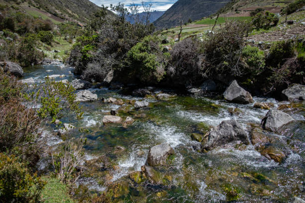 istock Landscape of Gavidia river. Venezuela 1405856505
