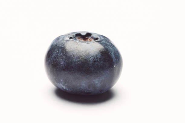 blueberries in white background stock photo