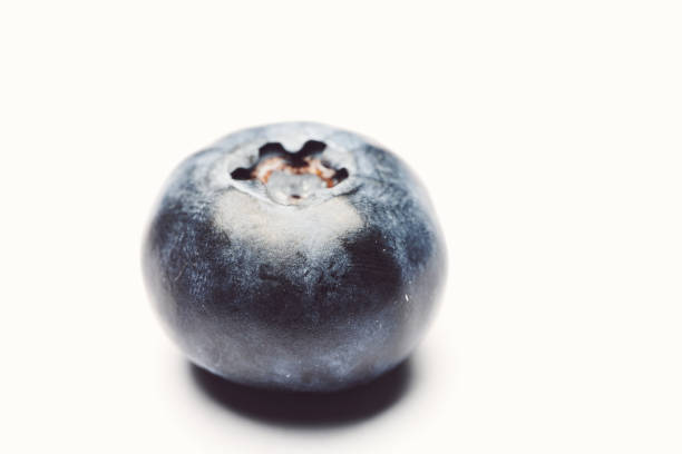 blueberries in white background stock photo