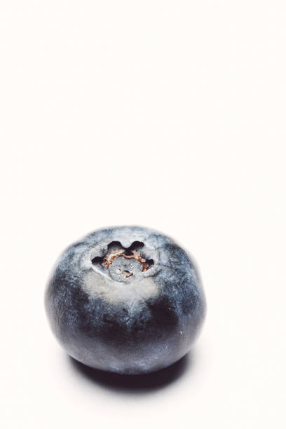 blueberries in white background stock photo