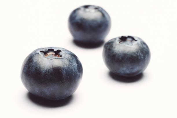 blueberries in white background stock photo