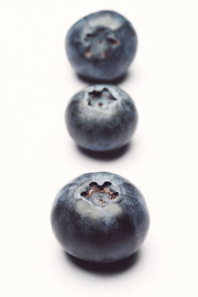 blueberries in white background stock photo