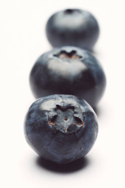 blueberries in white background stock photo