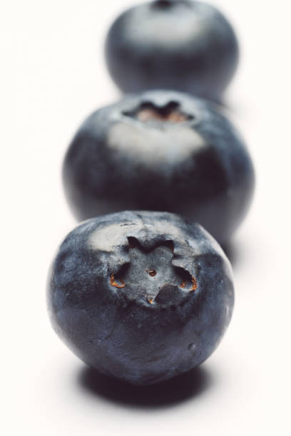 blueberries in white background stock photo