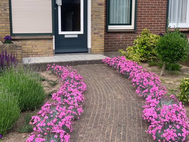 istock Beautiful home entrance and walkway 1405861963