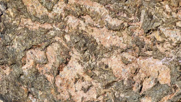 The texture of brown stone.Background with divorces.