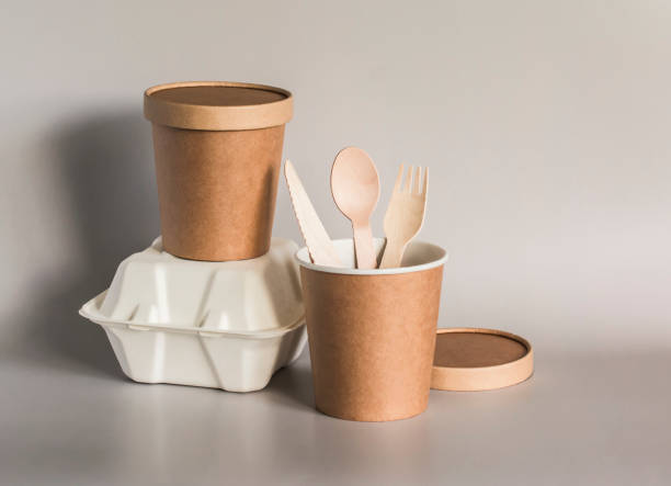istock Disposable food containers, biodegradable packaging. Nature conservation concept 1405863722