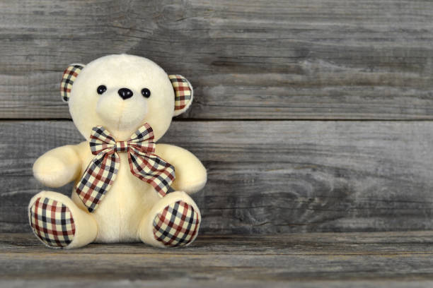 Stuffed animal in light and shadow.