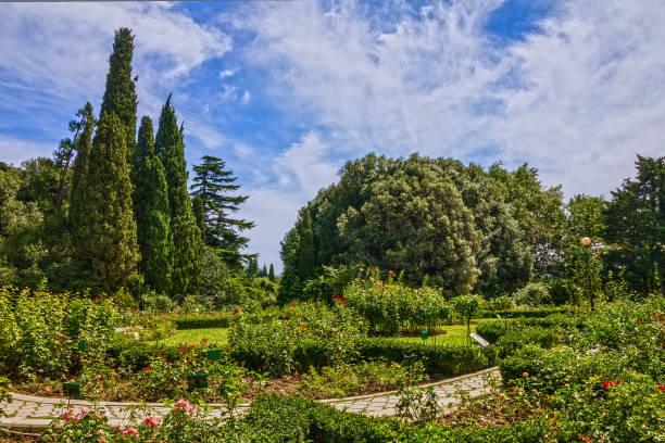 Livadia palace park, Yalta, Crimea