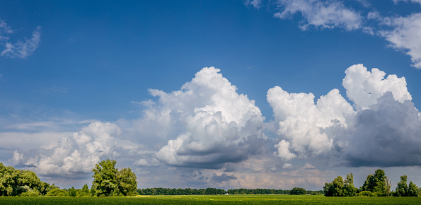 Gorgeous sky with cumulus clouds over summer agricultural field. Beautiful tranquil scenery. Wide-angle scenery.