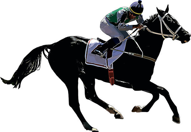 istock Racehorse with jockey at races. Isolated on a white background 1405870975