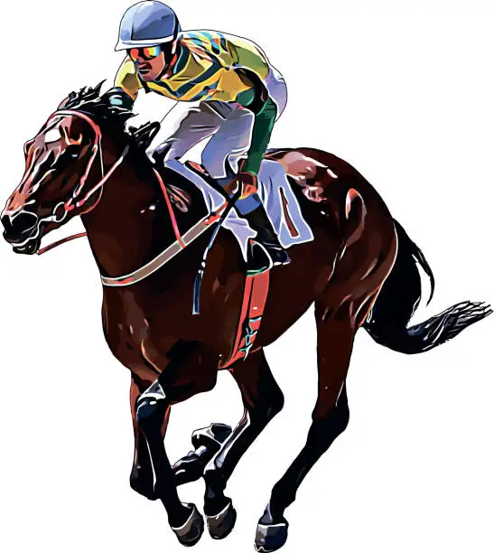 Vector illustration of Racehorse with jockey at races. Isolated on a white background