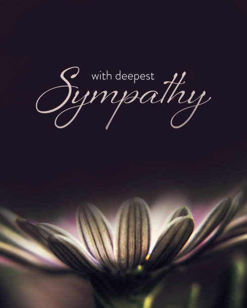 Sympathy card with African daisy