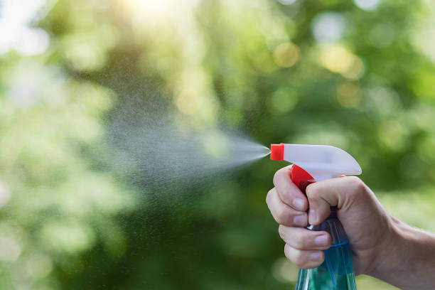 istock Hand with spray splashes with cleaning agent . 1405871351