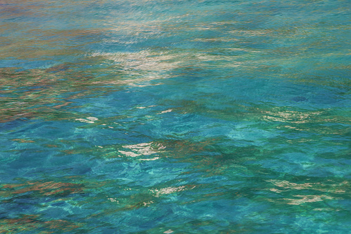 fresh green transparent water, Adriatic sea