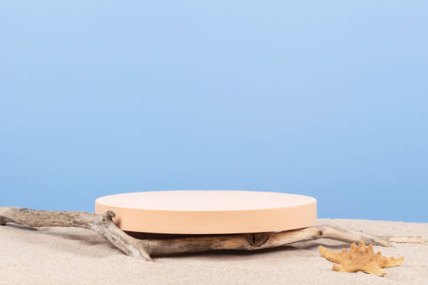 istock Empty round beige platform podium and dry tree twigs on white beach sand background. Minimal creative composition background for cosmetics or products presentation. Front view 1405880367