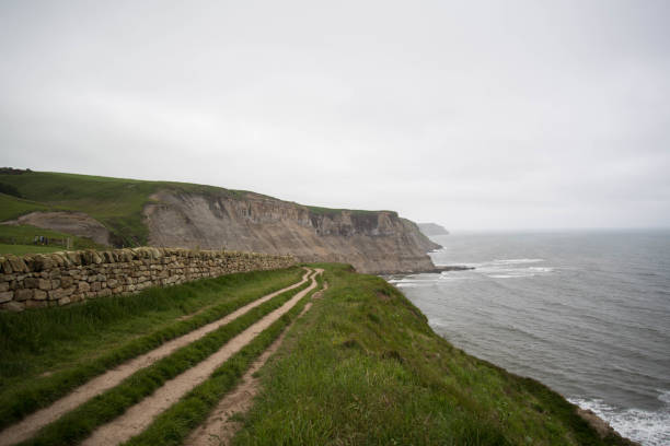 Coastline and cliff stock photo