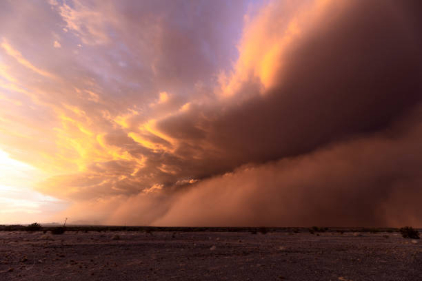 A dramatic Haboob dust storm in the desert at sunset near Dateland, Arizona, USA.
