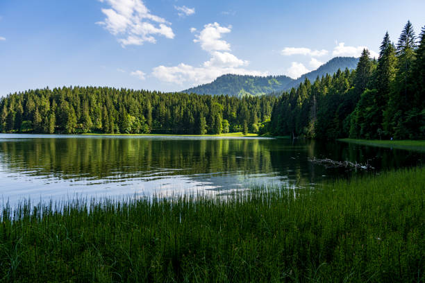 istock A great midday picture of Spitzingsee 1405886172