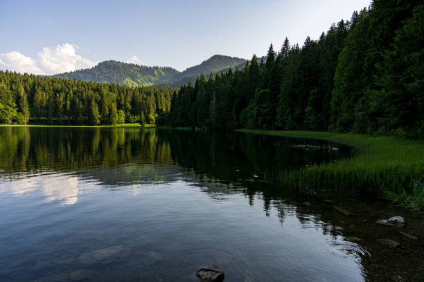 istock Landscape of the Spitzingsee on sundown 1405886324
