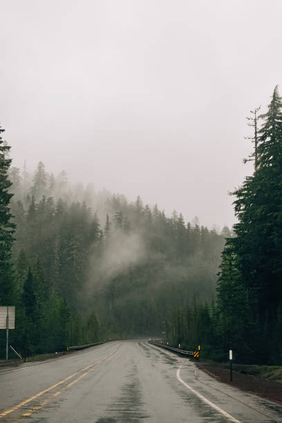 istock Whining empty mountain road with no cars. 1405887602