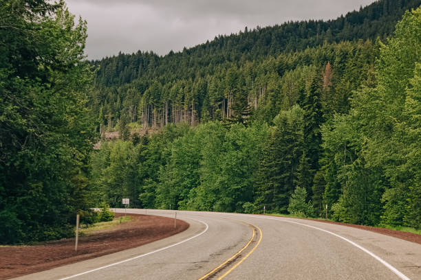 istock Whining road through the forest of pine trees on cloudy day. 1405887604
