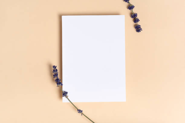 istock Square invitation white greeting card mockup with a a flowers lavender branch 1405887682