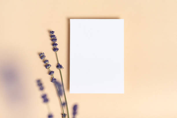 istock Square invitation white greeting card mockup with a a flowers lavender branch 1405887691