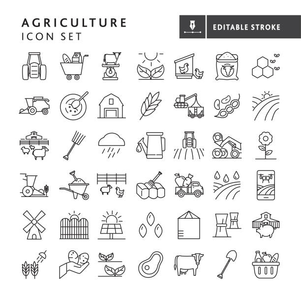 illustrations, cliparts, dessins animés et icônes de modern farm and agriculture concepts d’icône style de ligne mince - trait modifiable - seed human hand wheat cereal plant