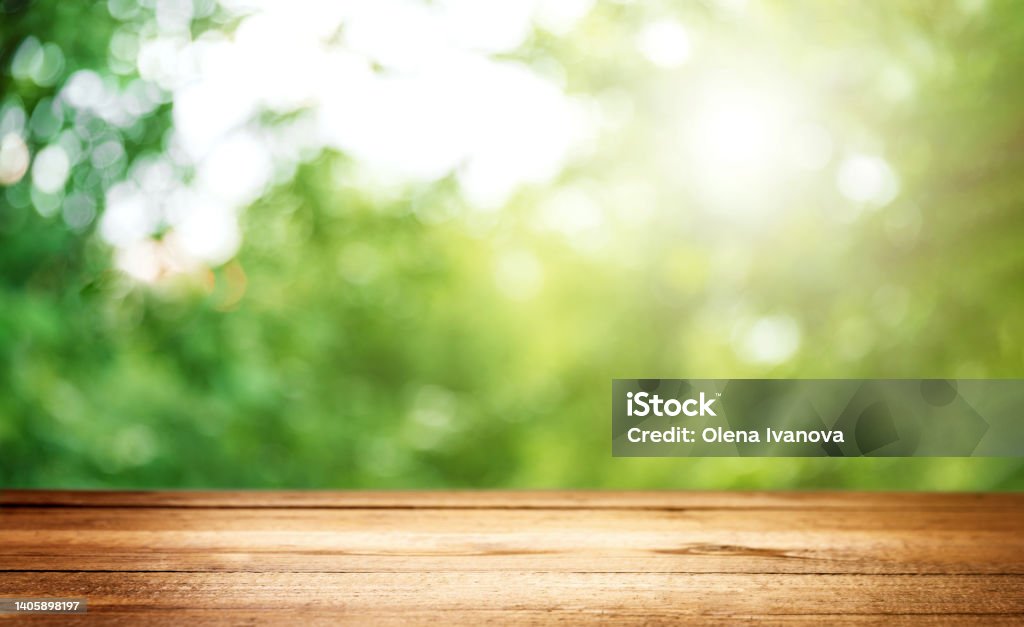 Empty blank wooden plank, deck or table with defocused green trees background Blank country fence plank, table top or counter bar with abstract green forest trees background. Nature bokeh sunlight. Mock up, product template. Banner or header for advertise on social media Back Yard Stock Photo