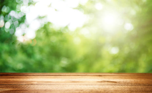 Empty blank wooden plank, deck or table with defocused green trees background Blank country fence plank, table top or counter bar with abstract green forest trees background. Nature bokeh sunlight. Mock up, product template. Banner or header for advertise on social media back yard stock pictures, royalty-free photos & images