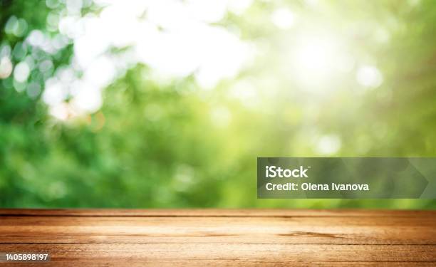 Empty Blank Wooden Plank Deck Or Table With Defocused Green Trees Background Stock Photo - Download Image Now